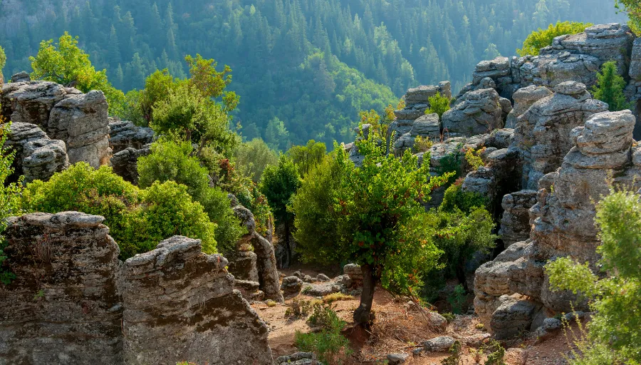 Tazı Canyon and Selge By Jeep photo 7